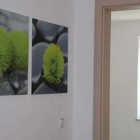 包括厨房的法尔维格公寓