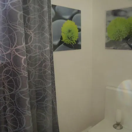 公寓 包括厨房的法尔维格公寓 *